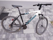 Kross Level A2 na Alivio