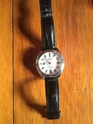 Alpina Alipner 4