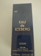 ICEBERG Cedar Pour Homme EDT spray 100ml