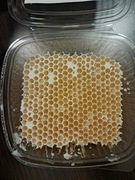 Plastry miodu pełne wielokwiatowe 