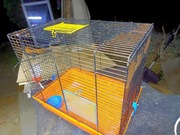 Klatka dla zwierzaczka lub ptaszka małego