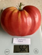 Pomidor Minusinsk's Heart nasiona kolekcjonerskie