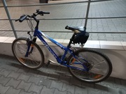 Rower Giant Aluxx FS