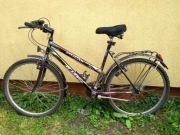 Rower FlashBike Jaguar