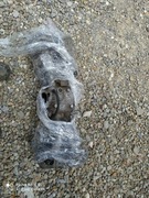 Kolektor ssący Subaru ab740