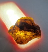 Bursztyn bałtycki jantar piękny surowy 4g bryłka inkluzje