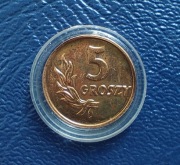 moneta 5 groszy 1949 r 
