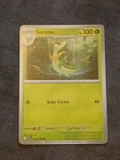 Servine 005/088 Karta POKEMON TCG Mega Evolution Perfect Order