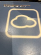 SCHILLER HEPPNER - DREAM OF YOU ….- MAXI LP