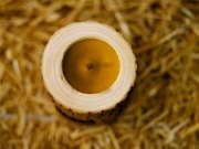 Świeca dekoracyjna Rocky M Candles_Woodmood