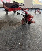 HONDA F560 dzik traktorek jednoosiowy ciągniczek glebogryzarka pług