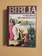 Biblia w obrazkach dla najmłodszych Kenneth N. Taylor