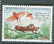Angola Port. 2,50 E Owady 1963   *