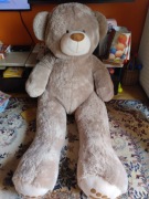 Pluszowy miś ponad 2m 