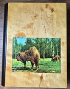 Drewniane pudełko, skrytka