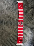 SZALIK ASSECO RESOVIA RZESZÓW