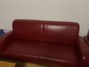 Zestaw mebli naturalna szkóra