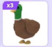 Drake | Roblox | Adopt me |