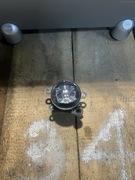 Halogen prawy Ford focus ml4