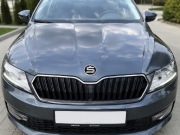 Znaczek Skoda, Octavia, Fabia, Rapid, SuperB, Roomster,