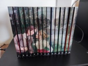 Saga Zapomniany ogród 