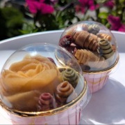 Cukierki owoce,pastyla