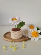 Kwiaty w doniczce na szydełku Stokrotka 3d