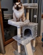 Drapak dla kota słupek do drapania domek dla kota