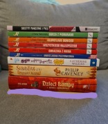 Zestaw książek książki ya młodzieżowe dla dzieci 