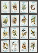 AJMAN - PTAKI - FAUNA - CZYSTE **