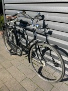 Gazelle Tour Populaire