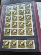 Klaser 230 x 305 9 linii 12 kartek