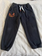 Spodnie polar Cool Club 116