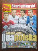 Skarb kibica I II i III ligi polskiej wiosna 2005