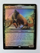 Nyla, Shirshu Sleuth - FOIL