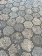 Trylinka sześciokątna