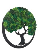 Duże drzewo koło mech chrobotek