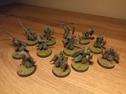 Rohan warriors - duchy