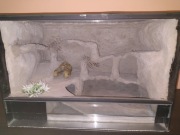 Terrarium szklane 60x40x40h z wyposarzeniem