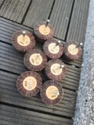 Ściernica listkowa fi60 P60