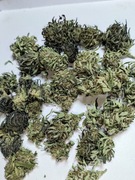 2025 10g 9.16% Legalny naturalny susz CBG od producenta