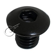 Śruba CP-043 M8 zamiast piwotów skok 1.25 czar 1szt