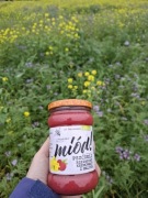 Miód rzepakowy kremowany z maliną 400 g