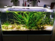 Akwarium 200l Fullopti komplet 