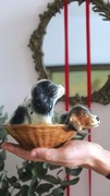Angielska figurka szczeniaki Cocker Spaniel pieski ceramika vintage