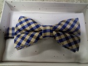 Muszka z poszetką (MAGF8)