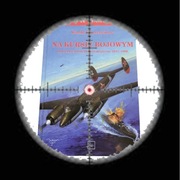 Na kursie bojowym - Sowieckie lotnictwo strategiczne 1941-1986