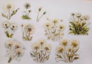naklejki holograficzne 10szt mlecze białe scrapbooking