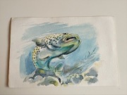 Akwarela dużej ryby