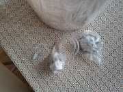 Lampa wisząca arabesca